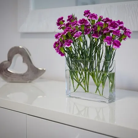 Old City Luxury Iris