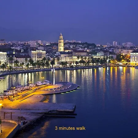 Old Luxury Iris 스플리트